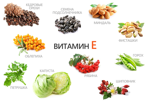 в каких продуктах витамин E