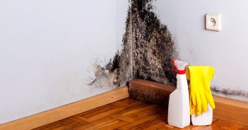 как избавиться от черной плесени на стене дома